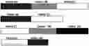 Fig. 01 - OPTIMIZED NUCLEIC ACID PROBES FOR ANALYTE DETECTION