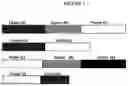 Fig. 02 - OPTIMIZED NUCLEIC ACID PROBES FOR ANALYTE DETECTION