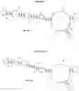 Fig. 03 - OPTIMIZED NUCLEIC ACID PROBES FOR ANALYTE DETECTION