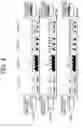 Fig. 04 - DIAGNOSTIC APPARATUS, SYSTEM, DIAGNOSTIC METHOD, AND RECORDING MEDIUM