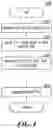 Fig. 05 - INTERNETWORK SWAPPING OF ASSETS