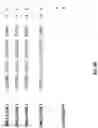 Fig. 13 - DETERMINING UNCERTAINTY OF AGRONOMIC PREDICTIONS
