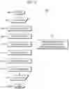 Fig. 07 - System and method for identifying fractures in digitized x-rays