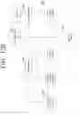 Fig. 17 - Method and electronic device for predicting plurality of multi-modal drawings