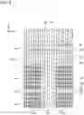 Fig. 03 - Semiconductor memory device