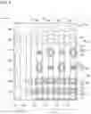 Fig. 04 - Semiconductor memory device
