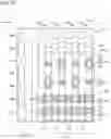 Fig. 22 - Semiconductor memory device