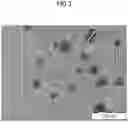 Fig. 05 - METAL-SUPPORTED CATALYST, BATTERY ELECTRODE, AND BATTERY