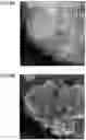 Fig. 06 - METAL-SUPPORTED CATALYST, BATTERY ELECTRODE, AND BATTERY