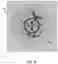 Fig. 09 - DISH CLEANING BY DIRT LOCALIZATION AND TARGETING