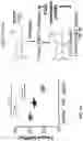 Fig. 02 - METHODS OF REJUVENATING AGED TISSUE BY INHIBITING 15-HYDROXYPROSTAGLANDIN DEHYDROGENASE (15-PGDH)