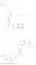 Fig. 167 - ANTI-CTLA4 CONJUGATES