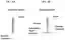 Fig. 05 - OCULAR DELIVERY OF THERAPEUTIC AGENTS