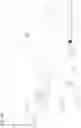 Fig. 19 - OCULAR DELIVERY OF THERAPEUTIC AGENTS