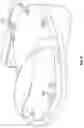 Fig. 06 - POSTURE CORRECTIVE EXERCISE SYSTEM