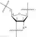 Fig. 331 - OLIGONUCLEOTIDE COMPOSITIONS AND METHODS OF USE THEREOF