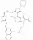 Fig. 102 - MACROCYCLIC INHIBITORS OF MCL-1