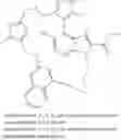 Fig. 109 - MACROCYCLIC INHIBITORS OF MCL-1