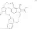Fig. 19 - MACROCYCLIC INHIBITORS OF MCL-1