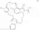 Fig. 20 - MACROCYCLIC INHIBITORS OF MCL-1