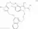 Fig. 21 - MACROCYCLIC INHIBITORS OF MCL-1