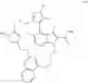 Fig. 25 - MACROCYCLIC INHIBITORS OF MCL-1