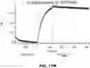 Fig. 216 - ANTIGEN-BINDING PROTEIN CONSTRUCTS AND USES THEREOF