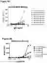 Fig. 07 - Therapeutic binding molecules