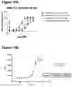 Fig. 12 - Therapeutic binding molecules