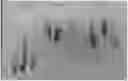 Fig. 01 - PRESSURE SENSITIVE ADHESIVE HAVING BROAD COMPATIBILITY WITH NON-HALOGENATED FLAME RETARDANTS