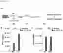 Fig. 02 - CELL THERAPY METHODS