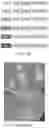 Fig. 10 - GENETIC ENGINEERING OF FUNGI TO MODULATE TRYPTAMINE EXPRESSION