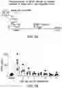 Fig. 13 - REGULATABLE EXPRESSION SYSTEMS