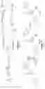 Fig. 09 - FLUORESCENT PROBES FOR IDENTIFICATION AND QUANTIFICATION OF HEPATIC TRANSPORTERS IN VITRO AND IN VIVO