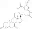 Fig. 22 - FLUORESCENT PROBES FOR IDENTIFICATION AND QUANTIFICATION OF HEPATIC TRANSPORTERS IN VITRO AND IN VIVO