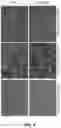 Fig. 12 - Method and reagents for the detection of an autoantibody