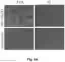 Fig. 13 - Method and reagents for the detection of an autoantibody