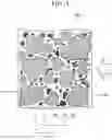 Fig. 02 - RADIATION-SCINTILLATED SHIELD AND MANUFACTURING METHOD OF RADIATION SHIELDING RESIN