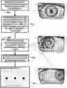 Fig. 01 - Pupillary response feedback eyewear