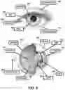 Fig. 06 - Pupillary response feedback eyewear