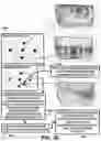 Fig. 22 - Pupillary response feedback eyewear