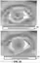 Fig. 32 - Pupillary response feedback eyewear