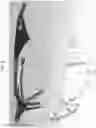 Fig. 06 - EYEWEAR HAVING AN ANTI REFLECTIVE PORTION