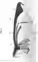 Fig. 09 - EYEWEAR HAVING AN ANTI REFLECTIVE PORTION