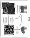 Fig. 09 - Systems and Methods for Processing Spatially Related Sequence Data Received from a Sequencing Device