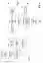 Fig. 05 - ERROR COMPENSATION IN ANALOG NEURAL NETWORKS