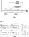 Fig. 03 - Time-dependent client inactivity indicia in a multi-user animation environment