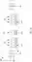 Fig. 06 - Metal bonding structure and manufacturing method thereof
