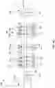 Fig. 19 - Metal bonding structure and manufacturing method thereof