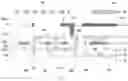 Fig. 06 - Display panel and display device